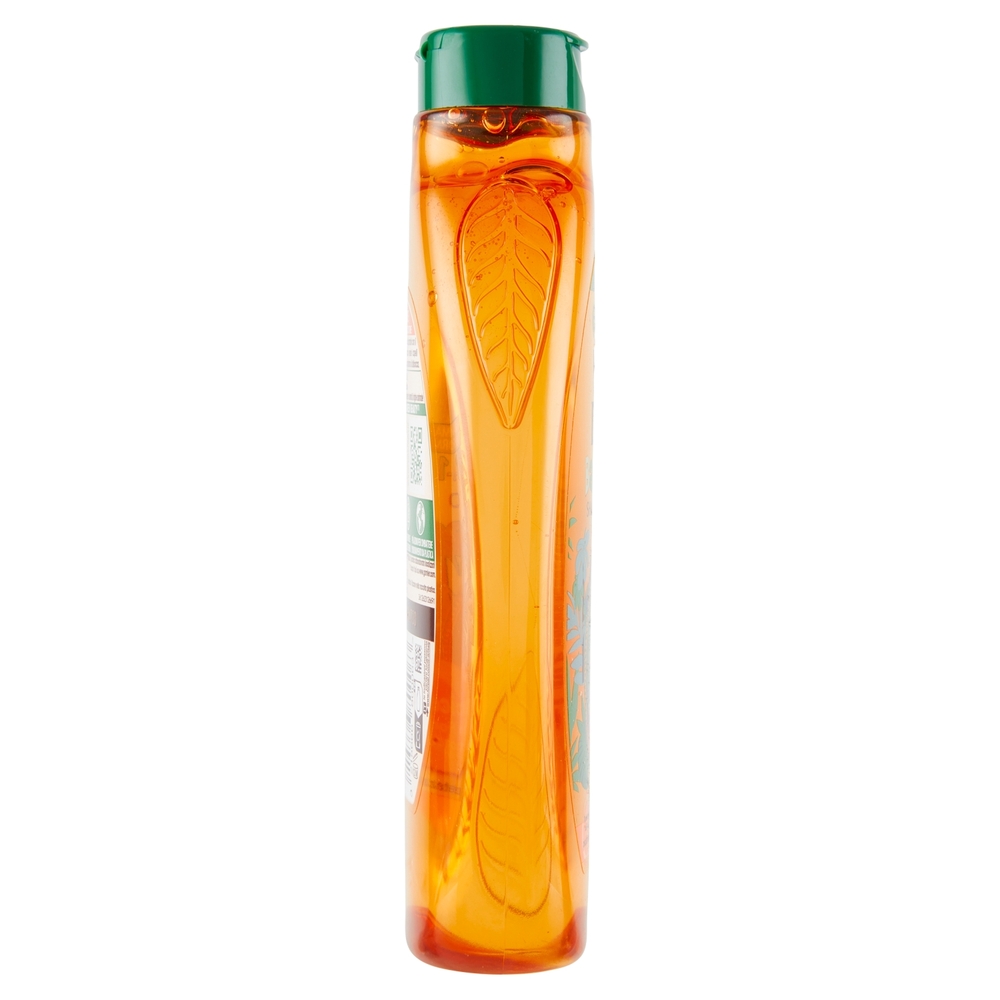 Garnier Ultra Dolce Shampoo 2in1 per Bambini all' albicocca e fiori di cotone, 300 ml